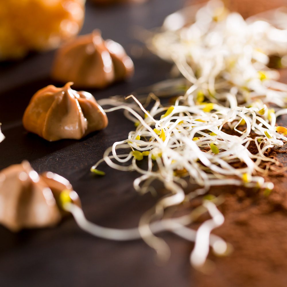 detalle Canelón de Worton relleno de Brandada de bacalao con alioli de chocolate.